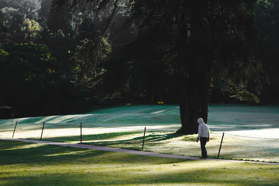 The Art of the Solo Workday: Staying Connected Without Burning Out