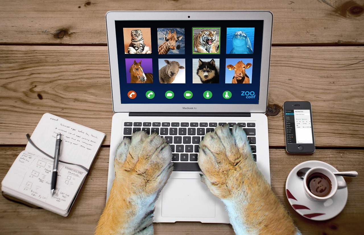 Video Calls Without the Dread: A Survival Guide for Introverted Remote Workers